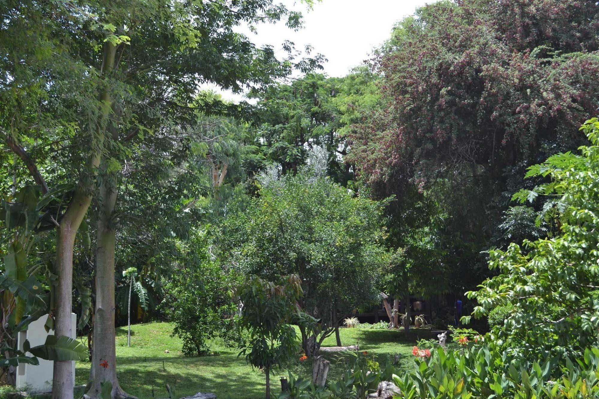 Tambuti Lodge รุนดู ภายนอก รูปภาพ