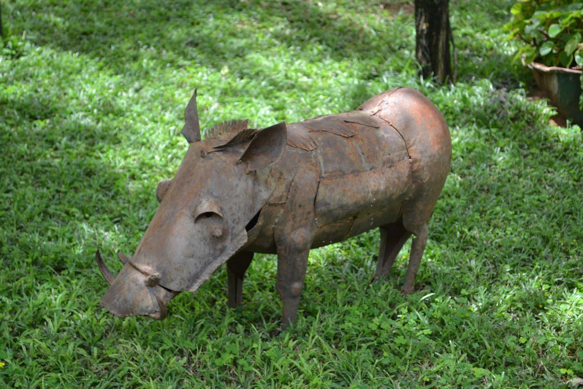 Tambuti Lodge รุนดู ภายนอก รูปภาพ